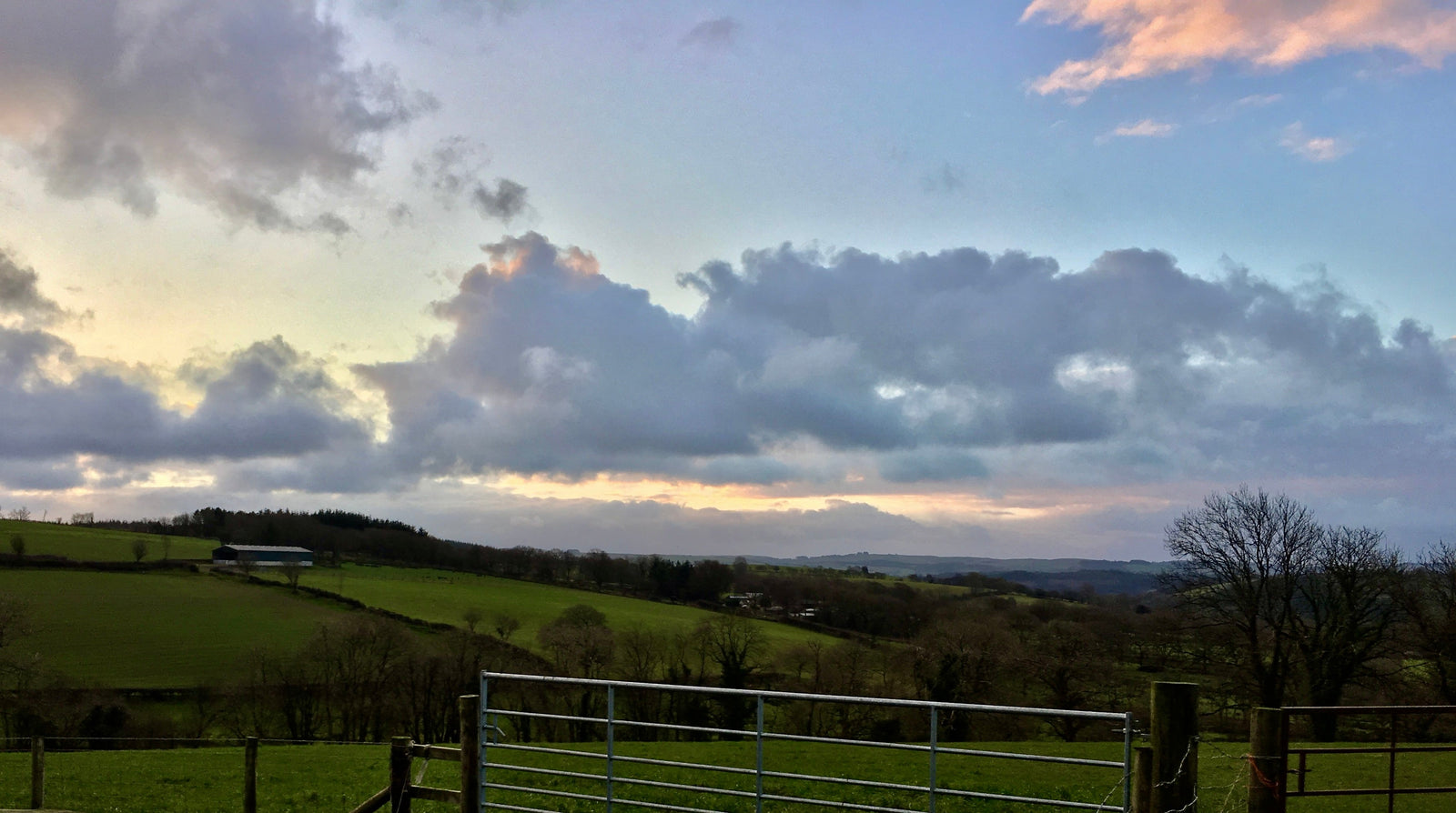 Hafod | The Fat of the Land.