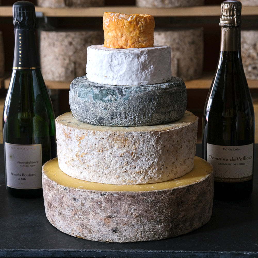 Celebration Cakes