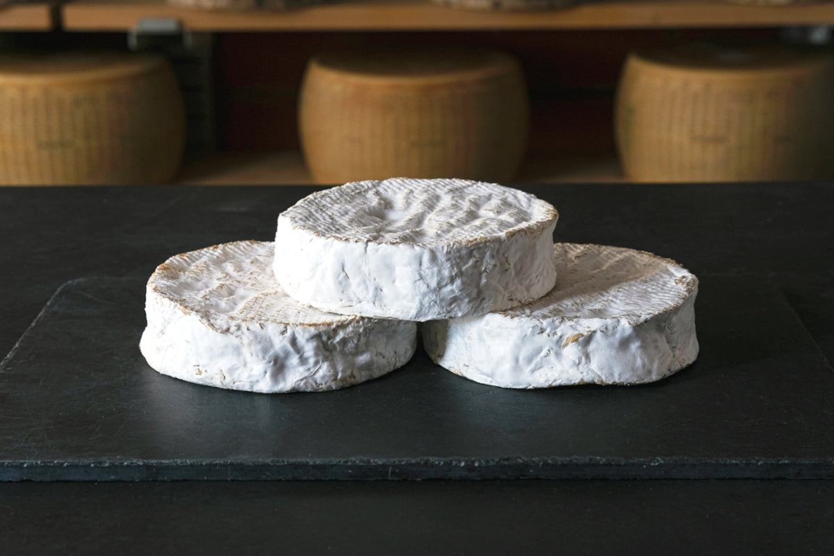 Coulommiers