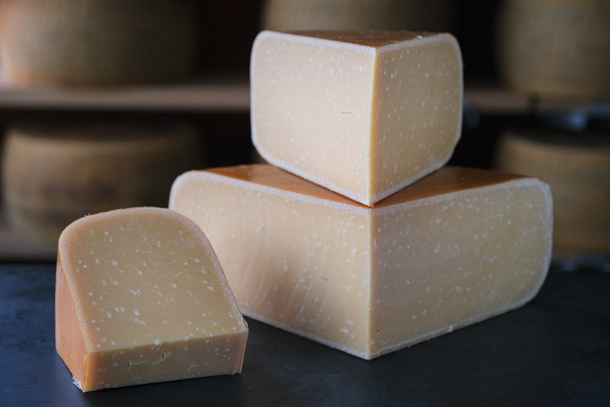 Gouda