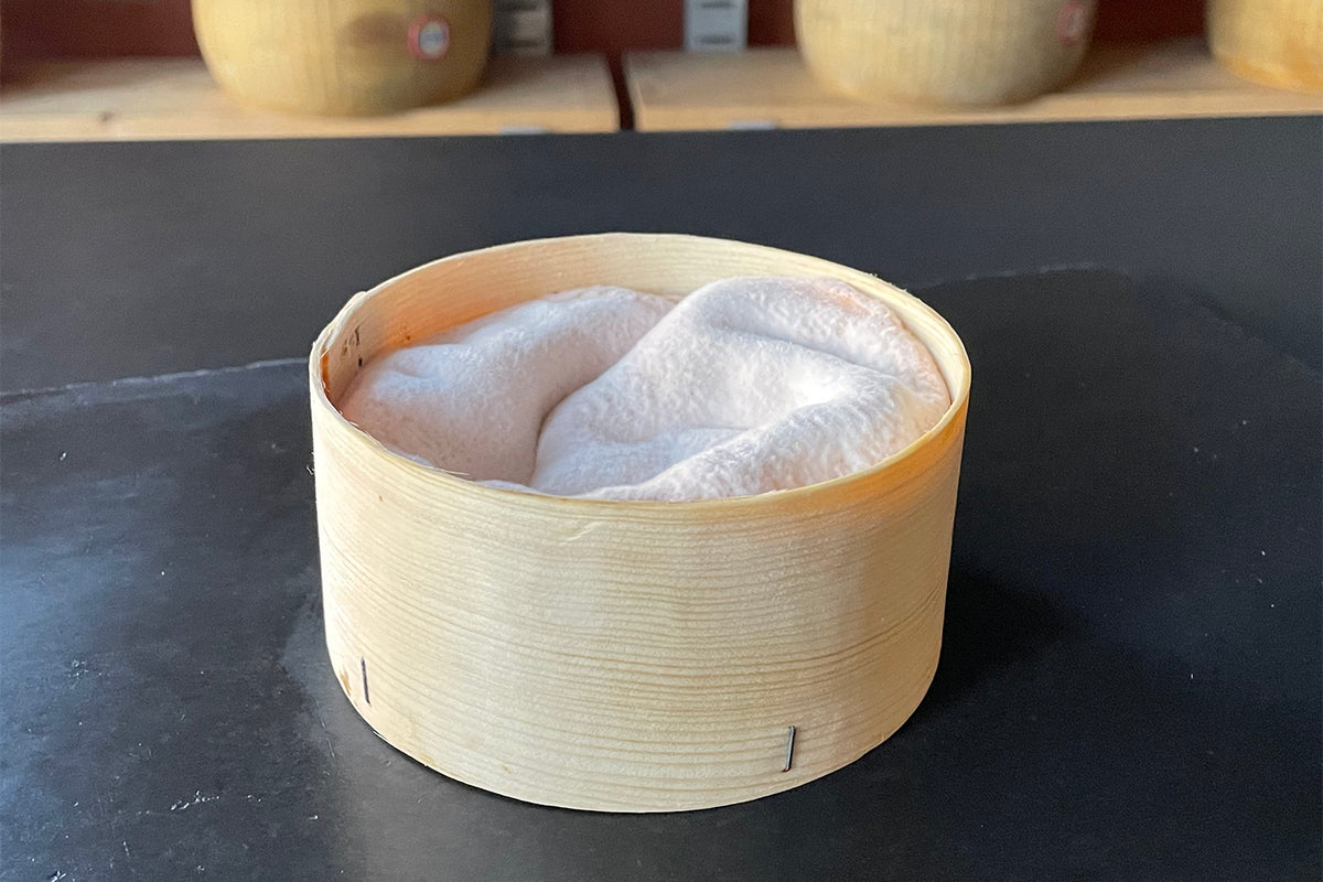 Vacherin Mont d’Or Tyrode - Mons Cheesemongers