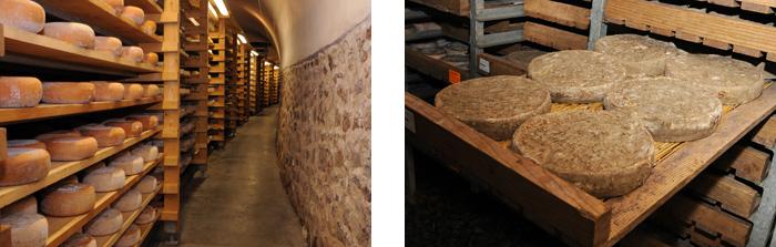 The Tunnel and St. Nectaire