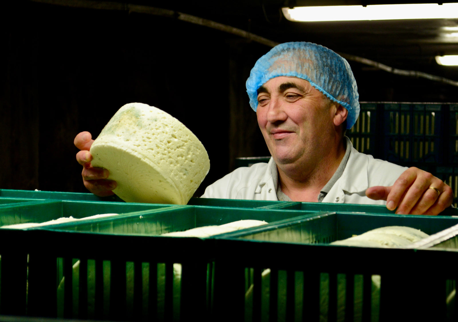 Roquefort from Maison Gabriel Coulet