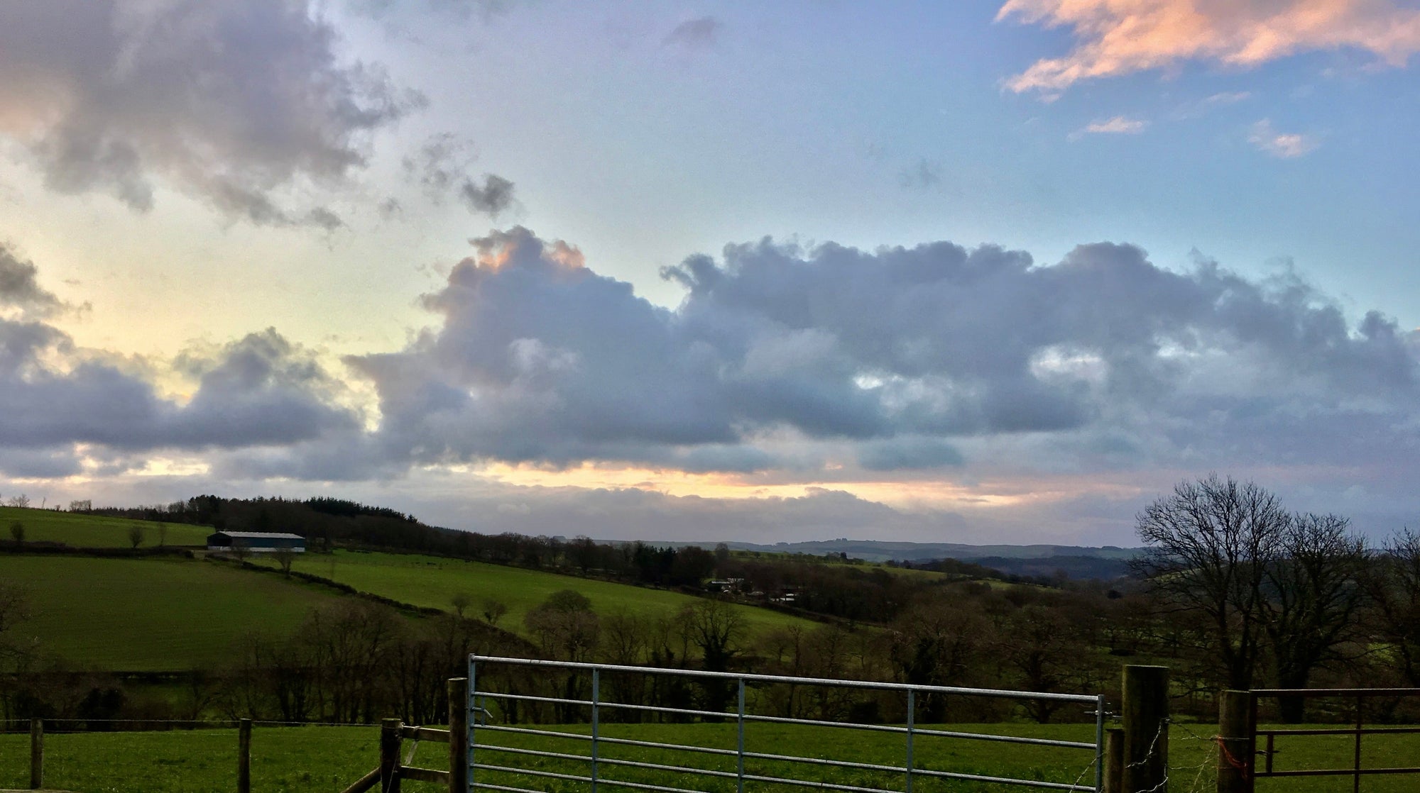 Hafod | The Fat of the Land.