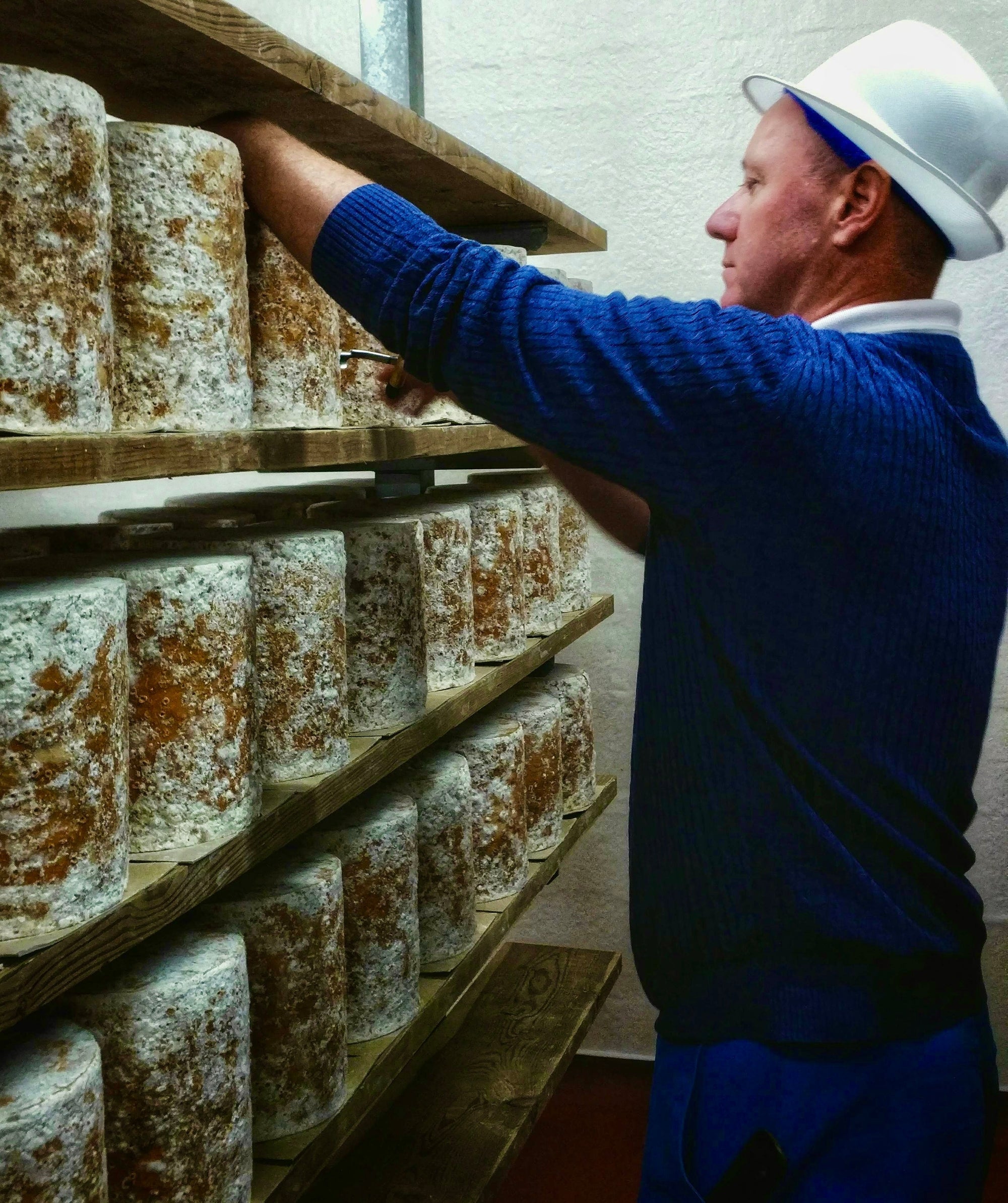 Winter Blues: Stilton & Stichelton