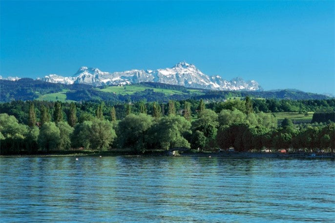 Introducing... Bergkäse