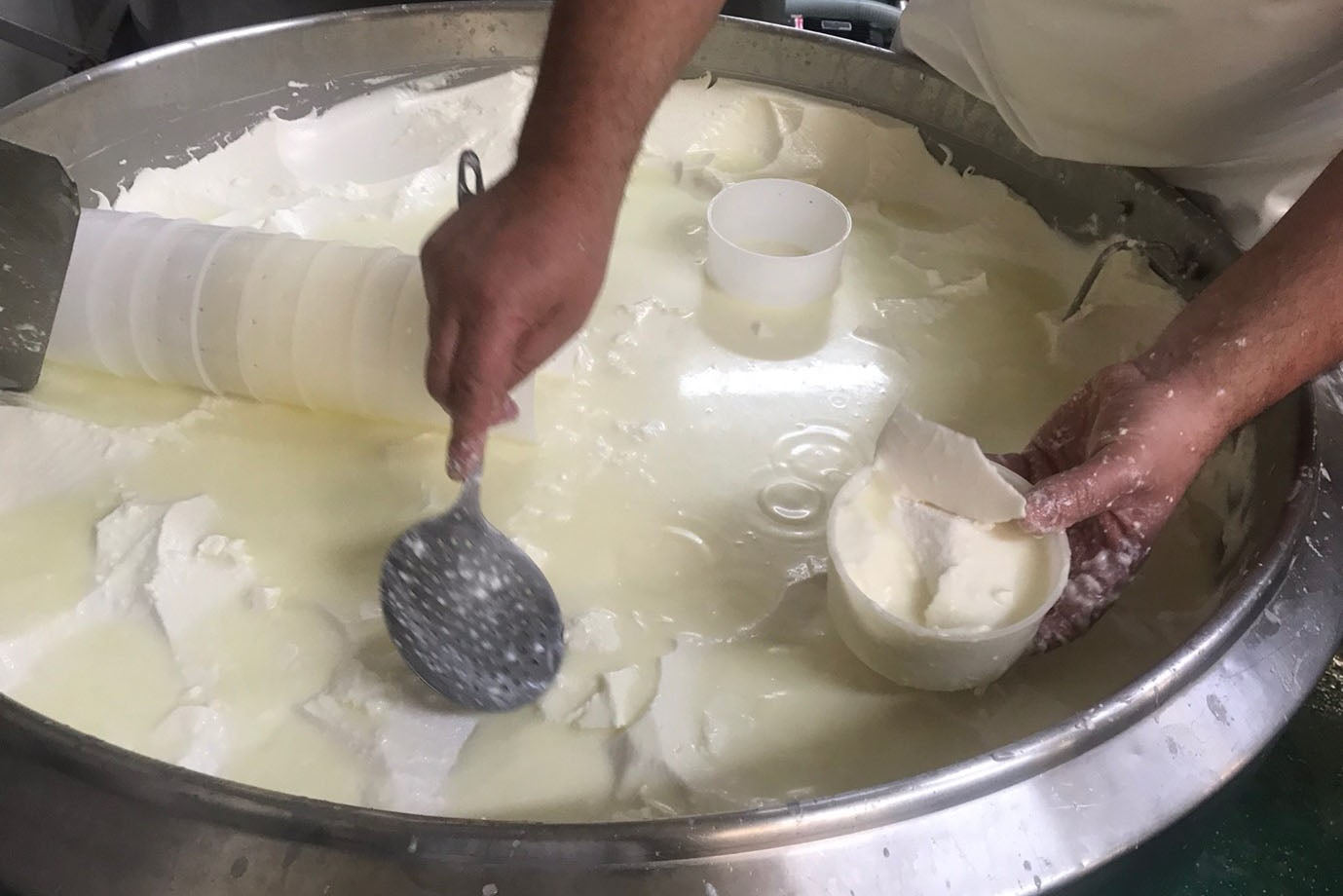 Influential men in cheesemaking.