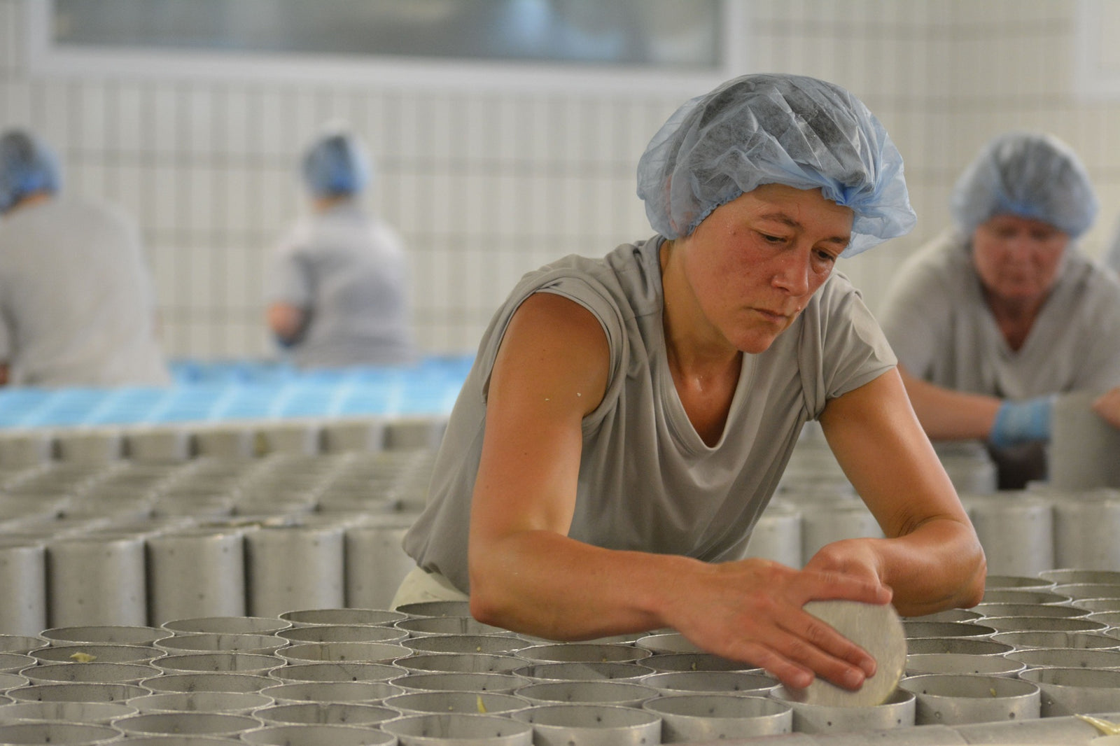 A Tale of Two Camembert