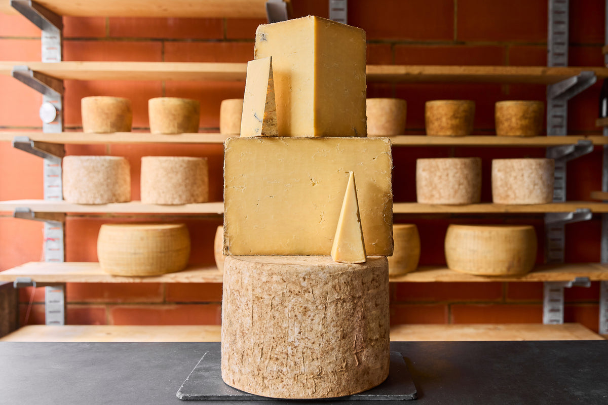 Pitchfork Cheddar