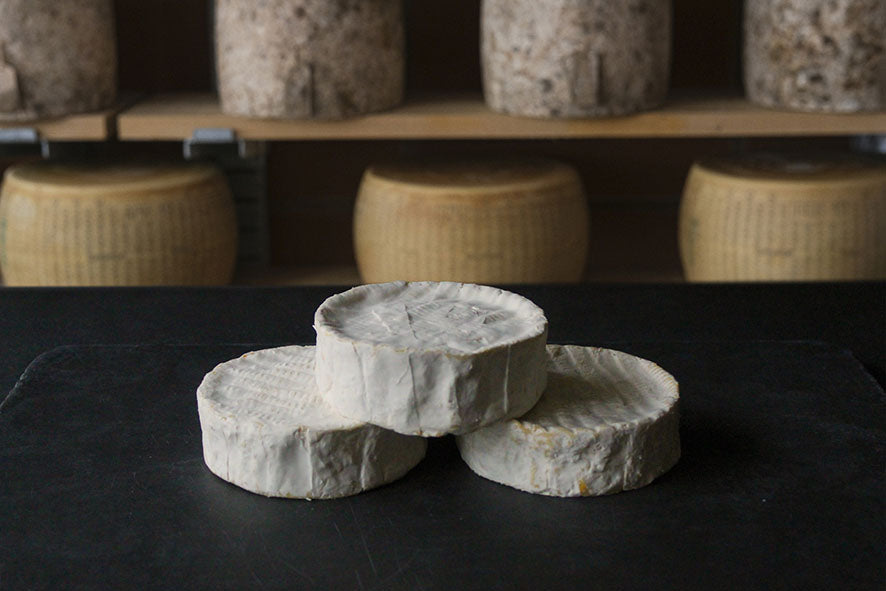 Camembert Pasteurised