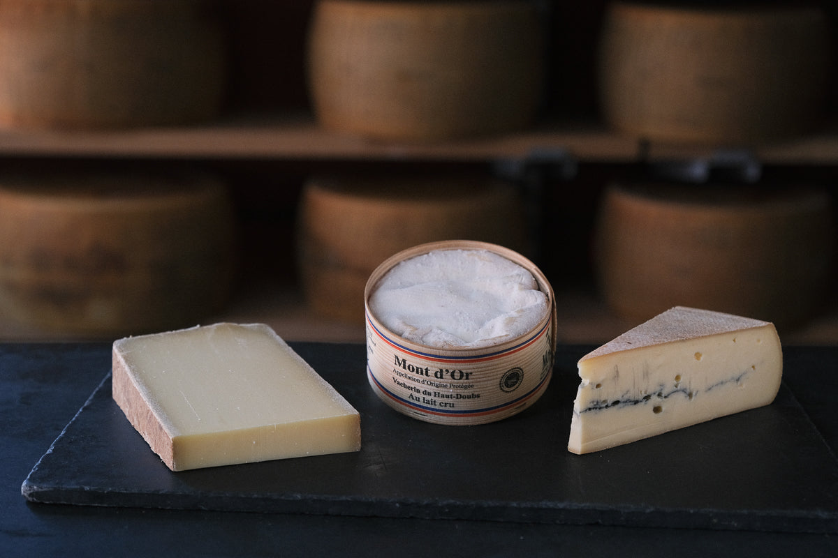 The Juracien Selection